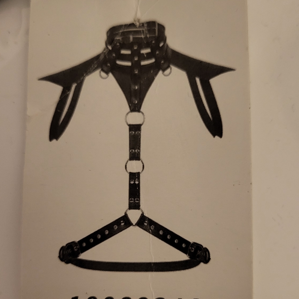 Shoulder Harness - Picture 2 of 2